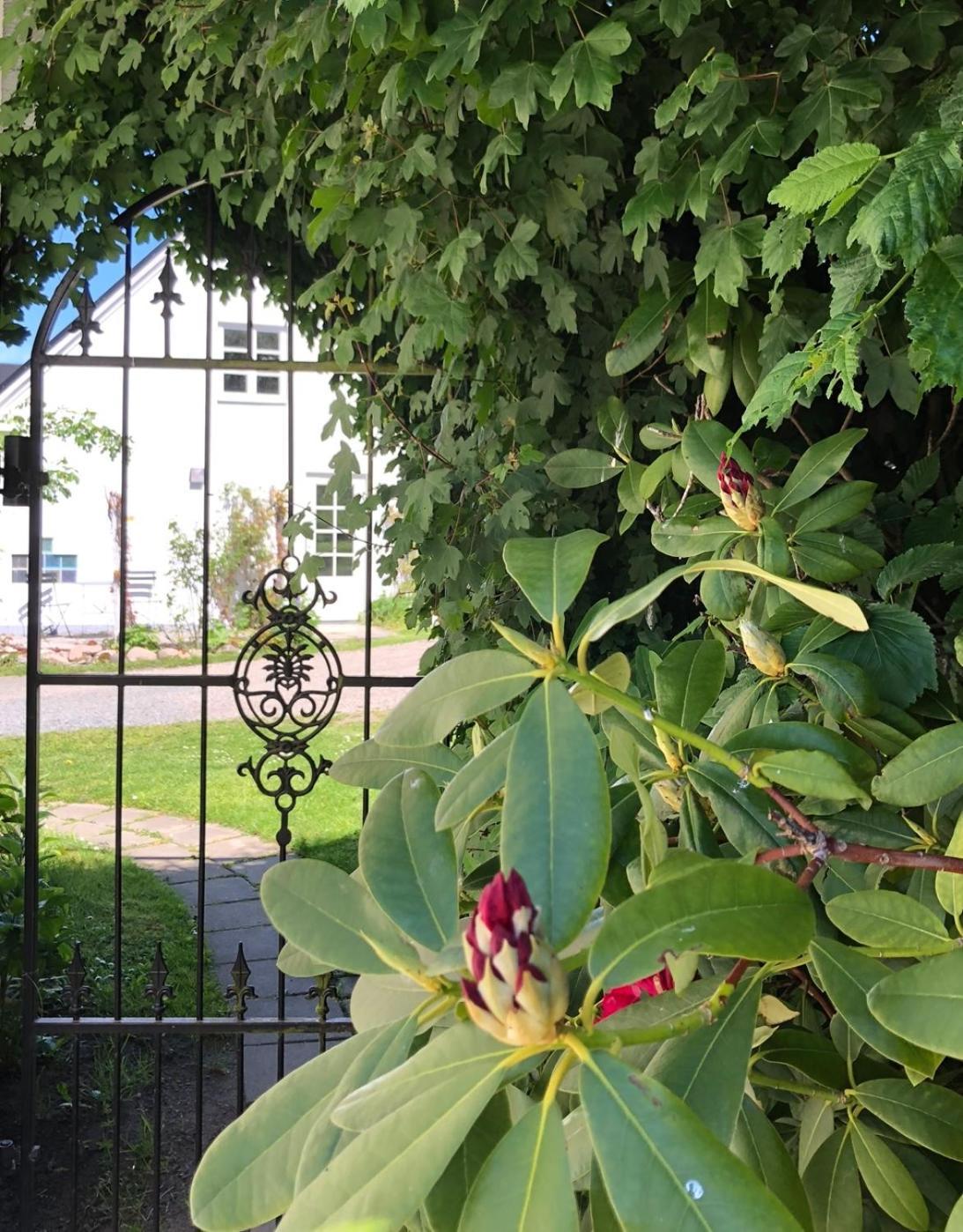 Ekenaes Gard Pa Oesterlen Kivik Exterior foto
